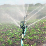 Qué herramientas se necesitan para el riego y la irrigación de un jardín